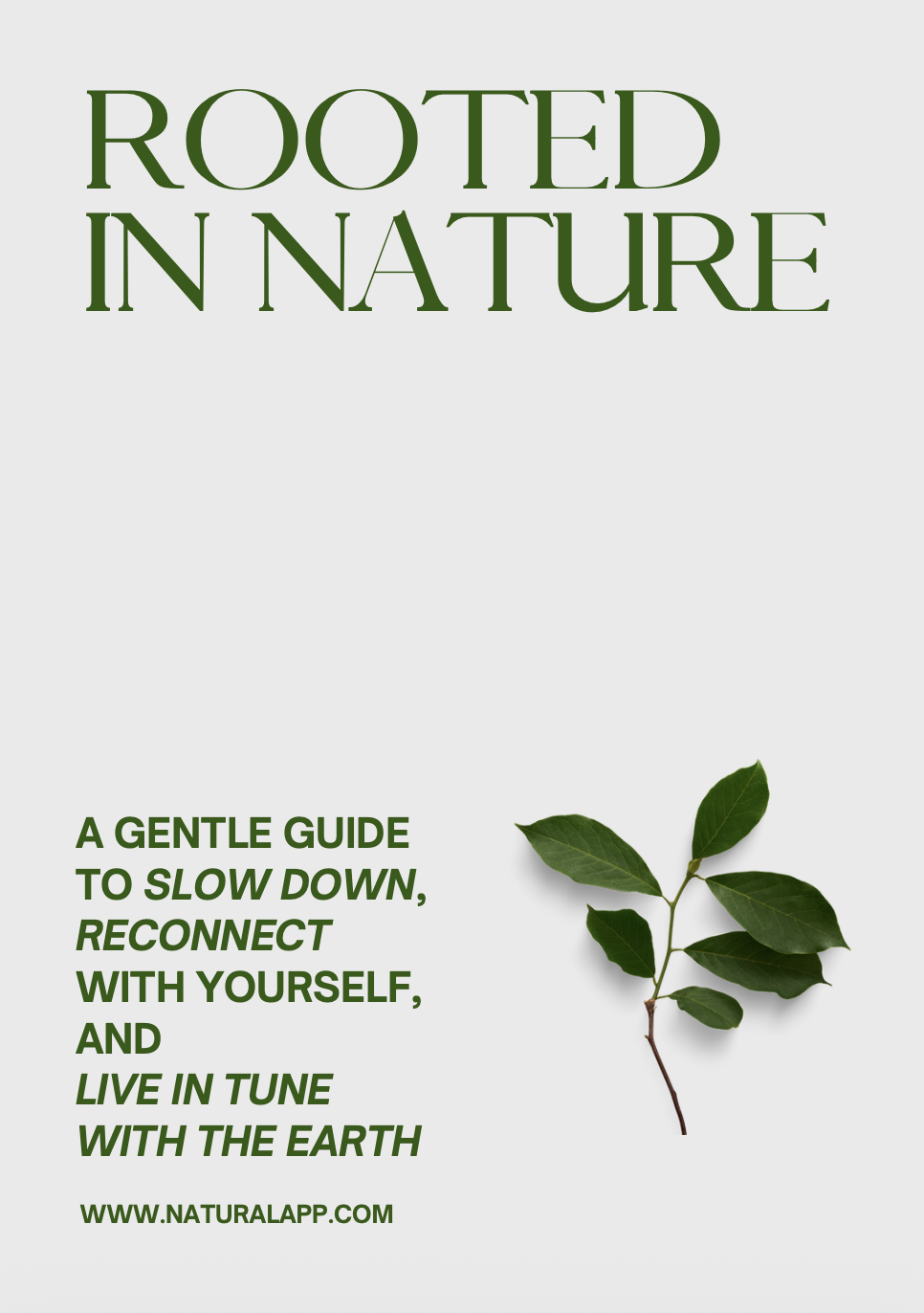 Captura de pantalla 2025-12-05 a las 10.54.23