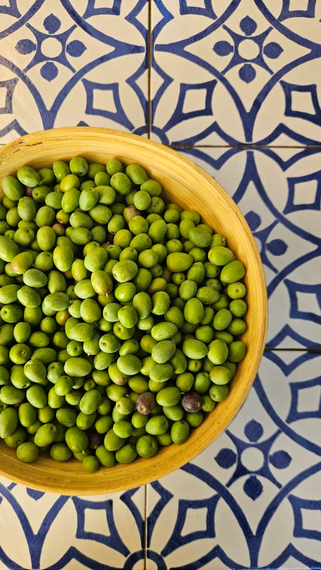 How I started a sustainable life on a budget. Homemade olives' bowl on Mediterranean table.